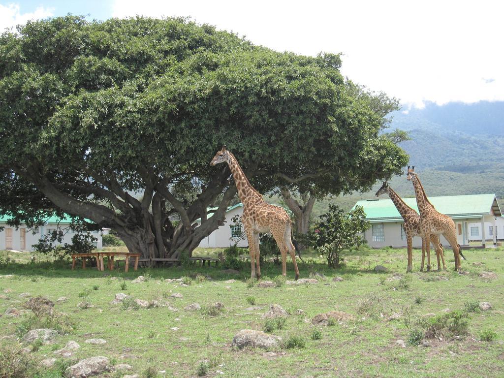 Nature Homes - Africa Amini Life Nkoanrua Ngoại thất bức ảnh