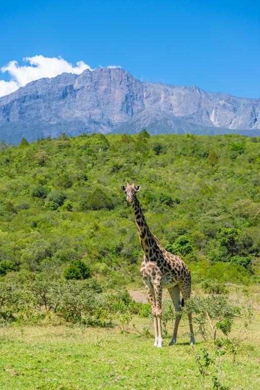 Nature Homes - Africa Amini Life Nkoanrua Ngoại thất bức ảnh