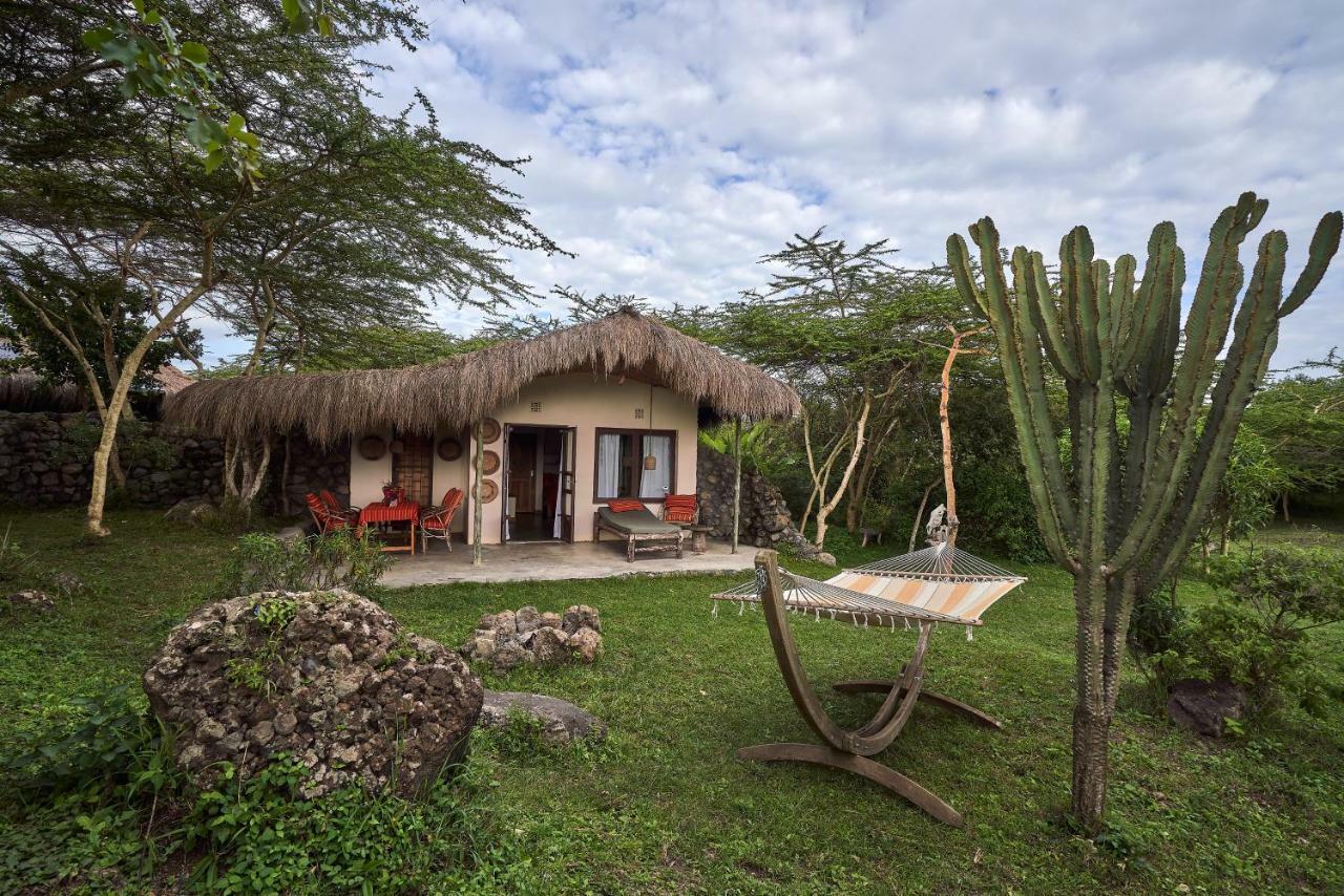 Nature Homes - Africa Amini Life Nkoanrua Phòng bức ảnh